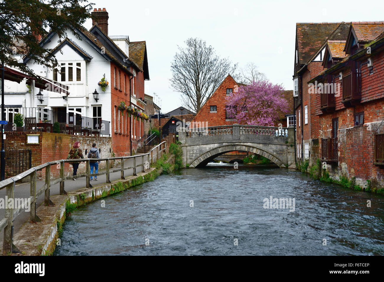 Riverwalk, Fluss Itchen in der Stadt Winchester. Hampshire. England. Vereinigtes Königreich Stockfoto