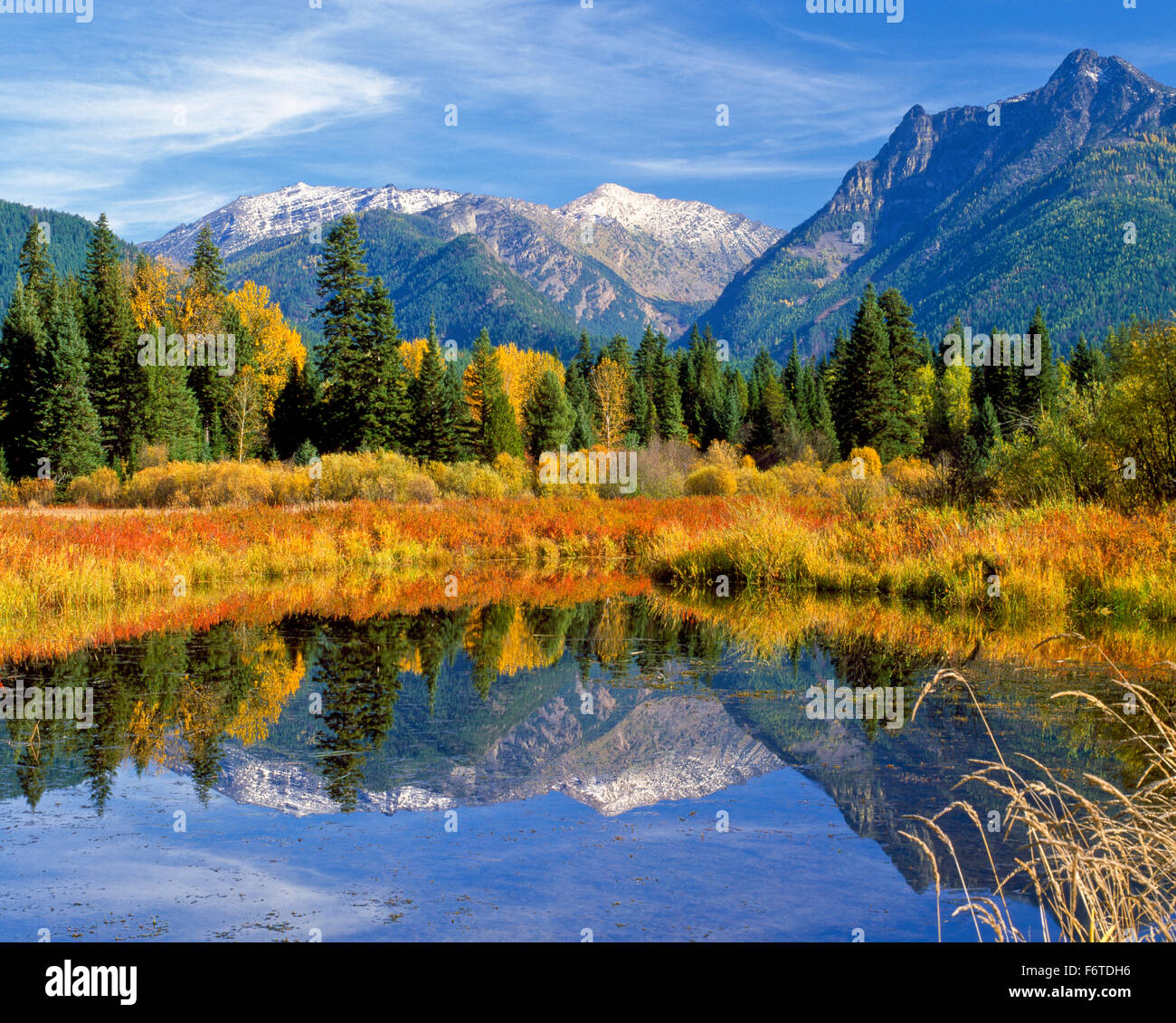 Herbstfarben und die Cabinet-Berge spiegeln sich in einem Bullental Feuchtgebiet in der Nähe von Troy, montana Stockfoto