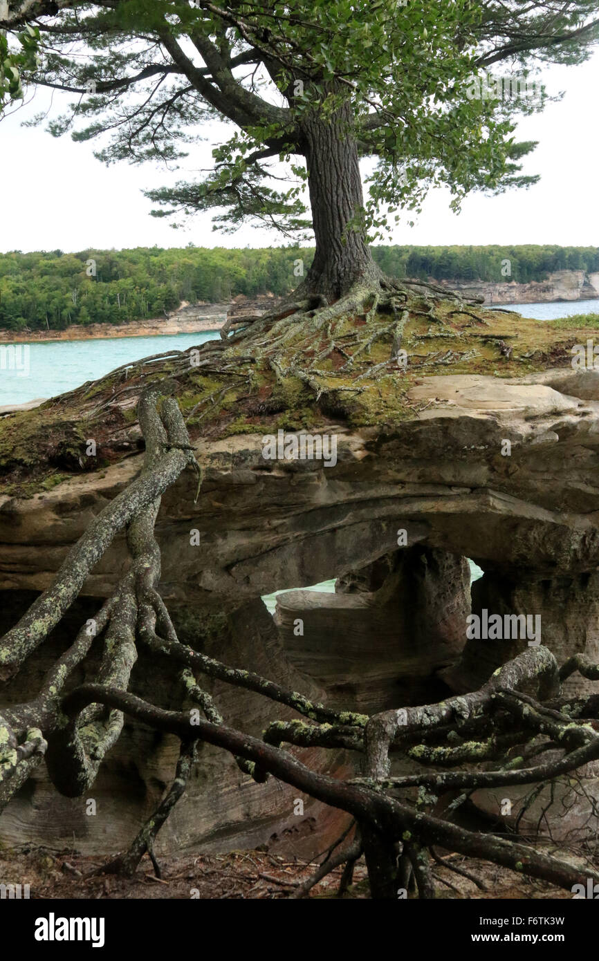 Kapelle Rock Rock Formation und Baumwurzeln auf Kapelle Strand entlang des Lake Superior in die abgebildete Rocks National Lakeshore, Michigan Stockfoto
