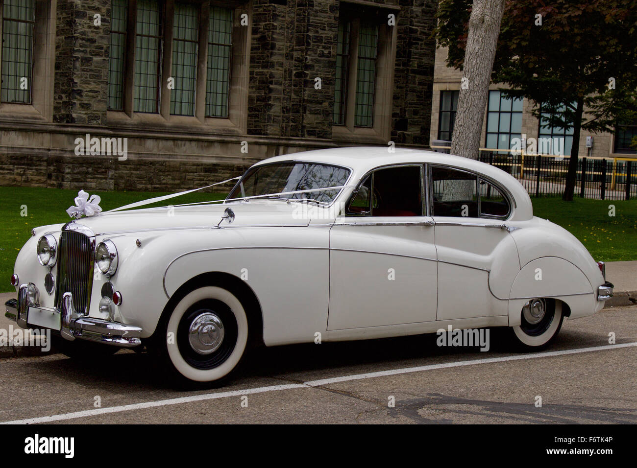 Schönes Foto von der weißen Jaguar Mark IX von Toronto, Mai 2015 Stockfoto