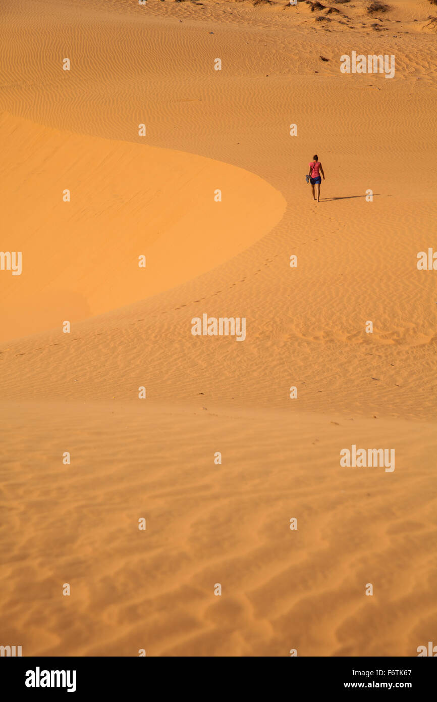 Traveller, eine oder mehrere Personen in der Wüste, Sand, Dünen Stockfoto