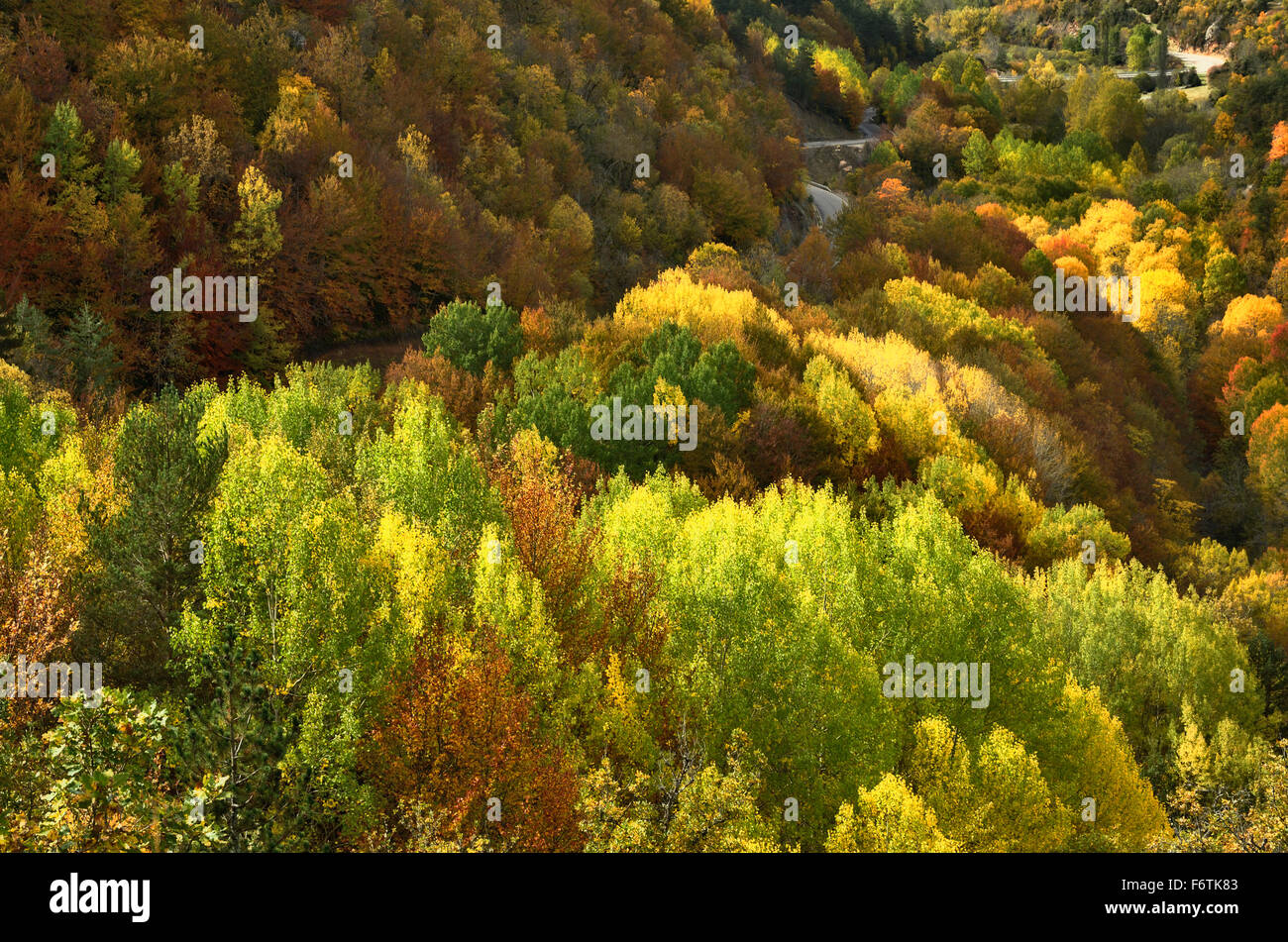 Herbstfarben in den Hafen Bonansa. Huesca. Aragon. Spanien. Europa Stockfoto