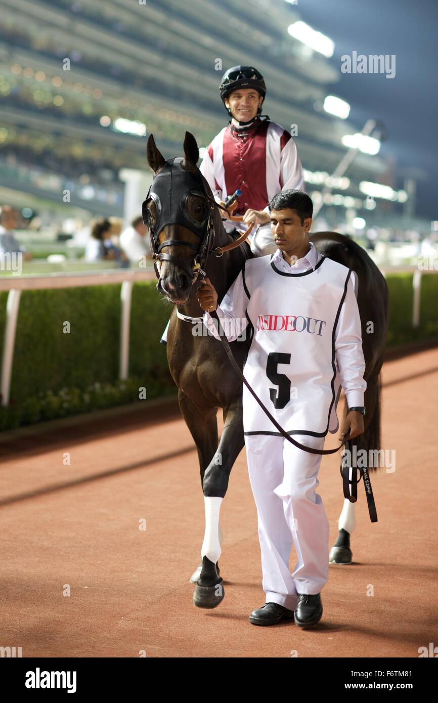 Meydan Racecourse, Vereinigte Arabische Emirate. 19. November 2015.   Richard Mullen mit Überschrift letzte Kämpfer aus 4 Rennen in Meydan Racecourse Credit: Tom Morgan/Alamy Live News Stockfoto