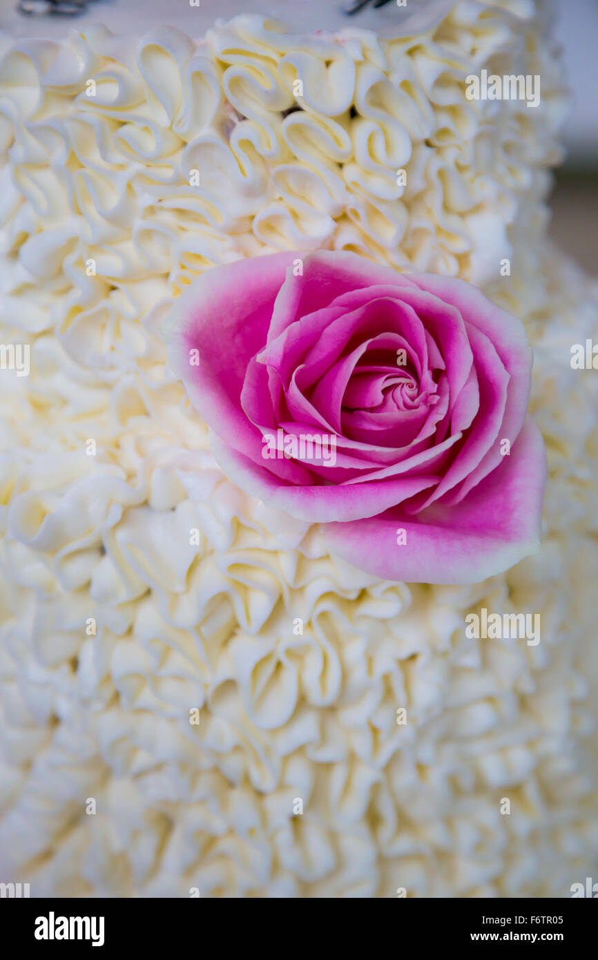 Weiße Hochzeitstorte bei einem Empfang vor dem Braut und Bräutigam schneiden Sie den Kuchen für die Gäste. Stockfoto