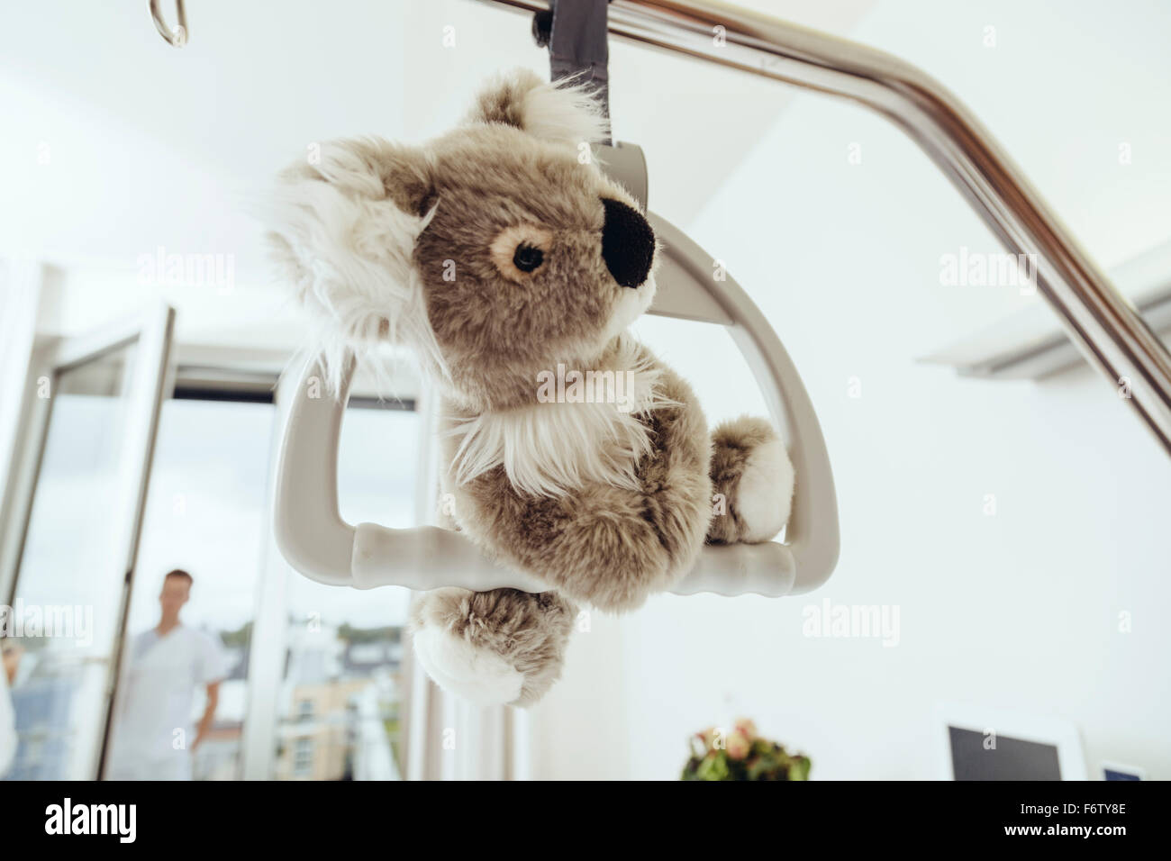 Spielzeug Koala Bett Gallow im Krankenzimmer hängen Stockfoto
