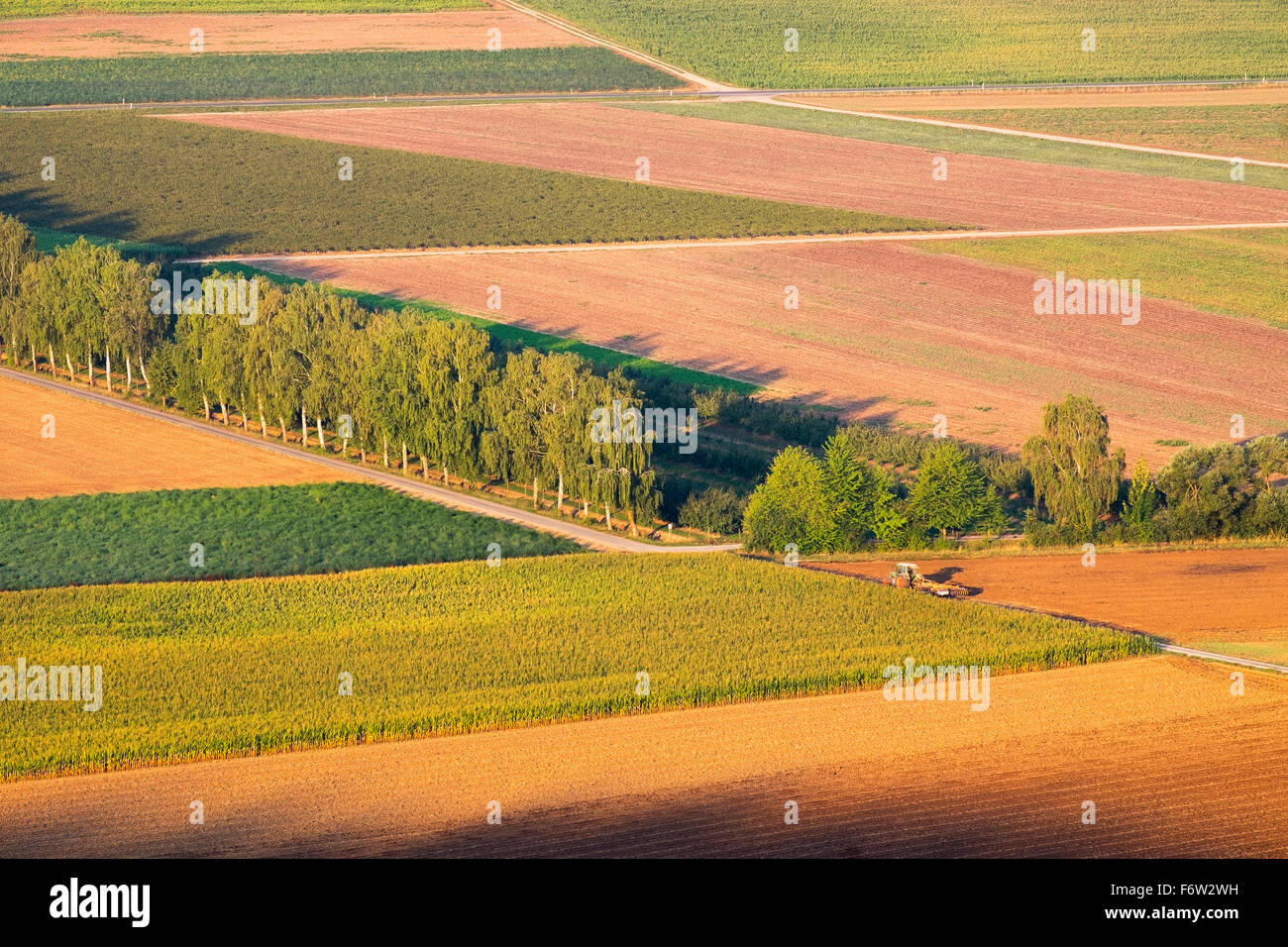 Deutschland, Bayern, Karlstadt, Fieldscape im Morgenlicht in der Nähe von Karlburg Stockfoto