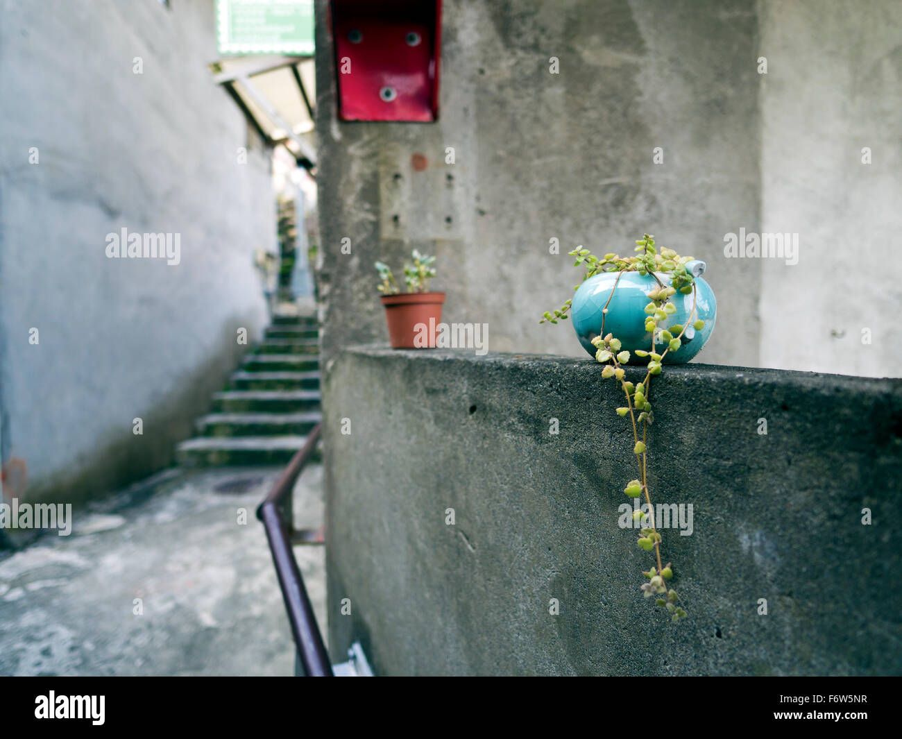 kleiner Blumentopf an Wand, Taipei Stockfoto