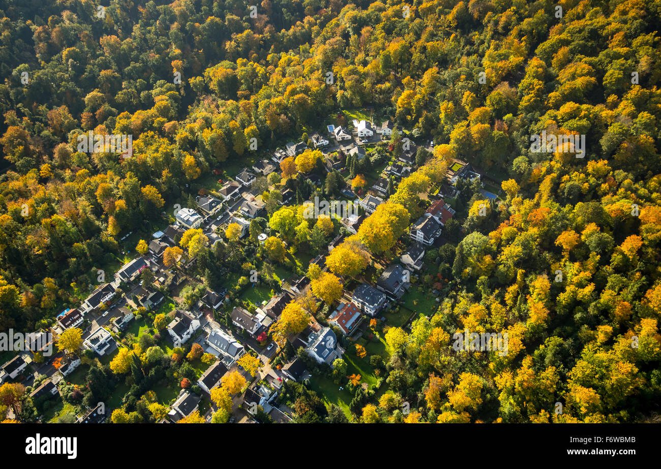 Wohnen im grünen Wohngegend in Renteilichtung Schellenberger Wald, herbstlichen Wälder, Essen, Ruhrgebiet, Stockfoto