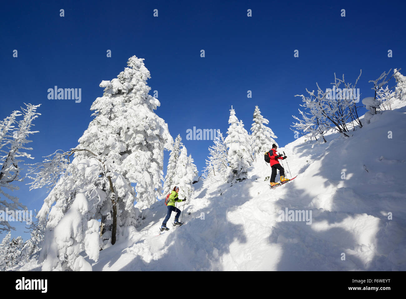 Zwei Backcountry Skifahrer aufsteigend nach Spitzstein, Chiemgauer Alpen, Tirol, Österreich Stockfoto