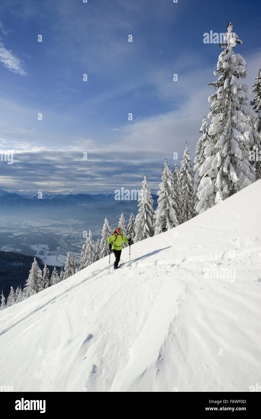 Weibliche Backcountry Skifahrer zum Kranzhorn, Kaiser Bergkette im Hintergrund, Chiemgauer Alpen, Tirol, Österreich Stockfoto