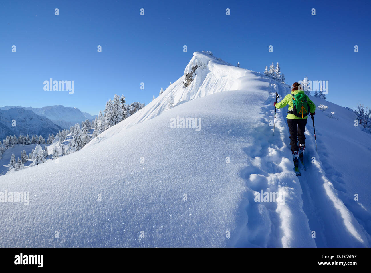 Weibliche Backcountry Skifahrer aufsteigend, Teufelstaettkopf, Ammergauer Alpen, Upper Bavaria, Bavaria, Germany Stockfoto