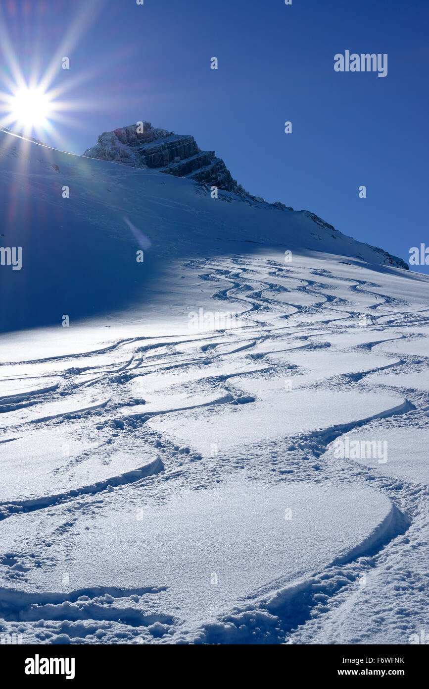 Bergab Spuren im Pulverschnee, Backcountry Ski, Birnhorn, Leoganger Steinberge Palette, Salzburg, Österreich Stockfoto