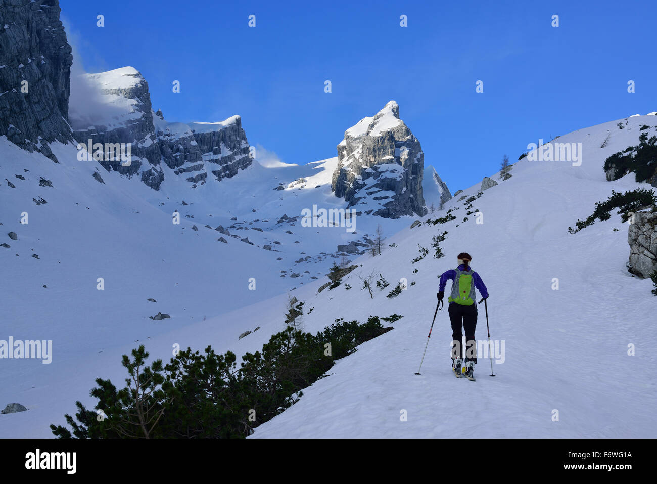 Weibliche Backcountry Skifahrer aufsteigend, Watzmannkind, Watzmannkar, Berchtesgadener Alpen, Nationalpark Berchtesgaden, Oberbayern, Stockfoto