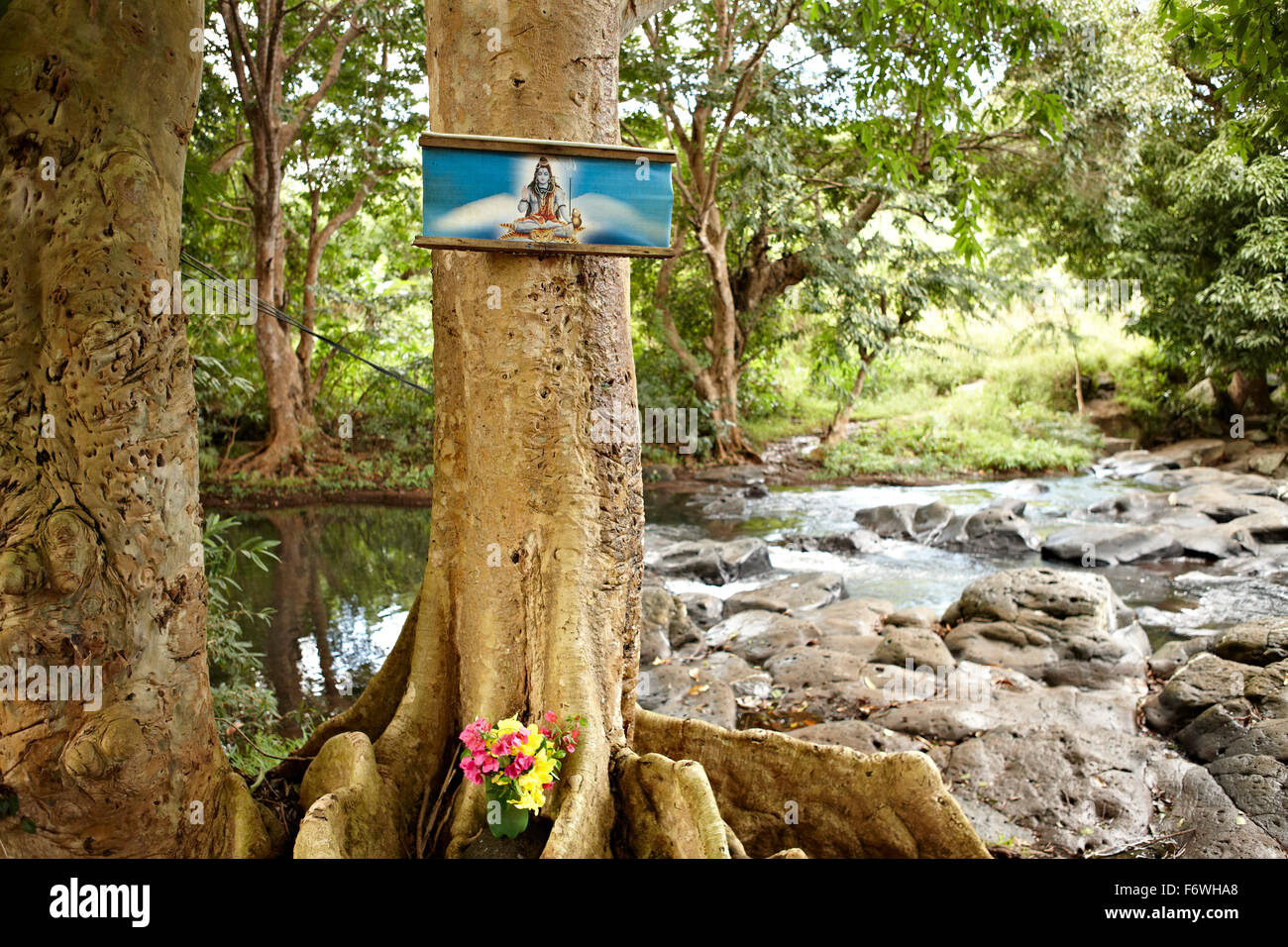 Kaum einem in der Nähe von Rochester Falls, Soulliac, Mauritius Stockfoto