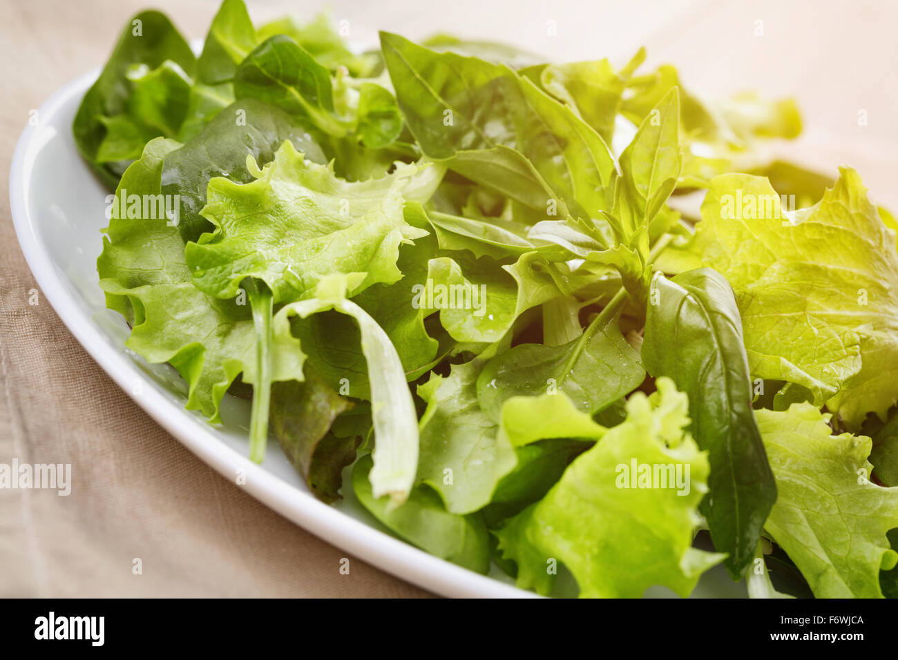grüner Mix Salat hautnah Stockfoto