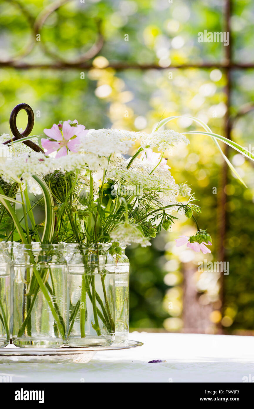 Stilleben mit Vase mit Sommerblumen, Freiamt, Emmendingen, Baden-Württemberg, Deutschland Stockfoto