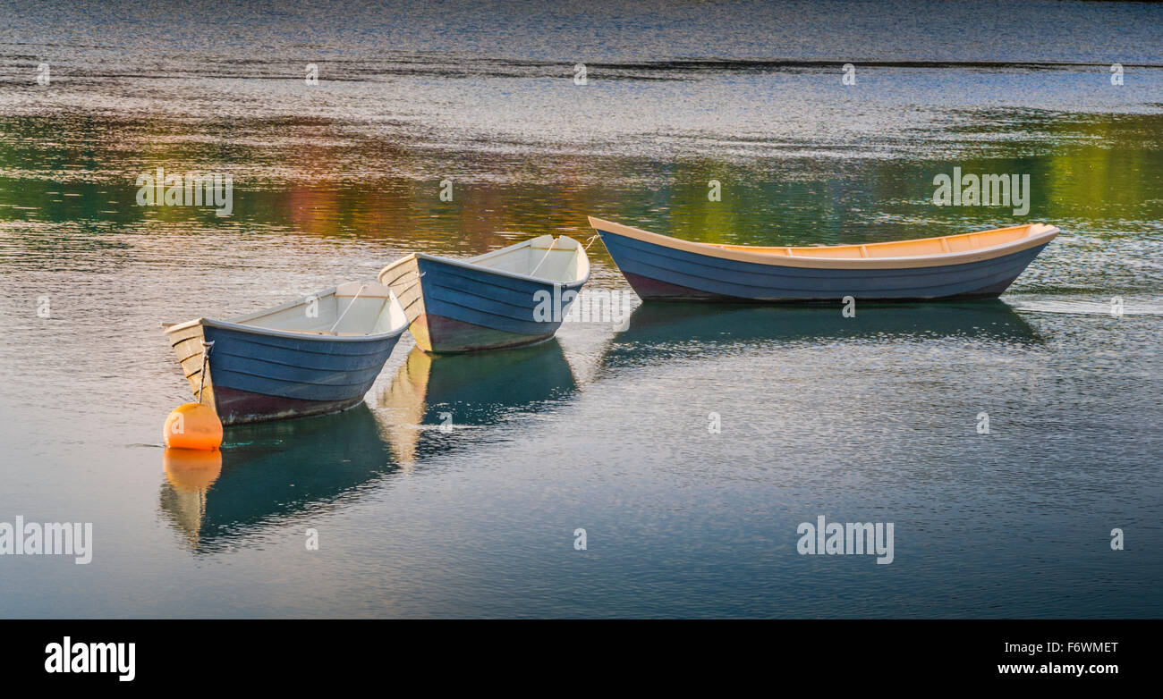 Drei Dory Ruderboote zusammengebunden im Teich Stockfoto