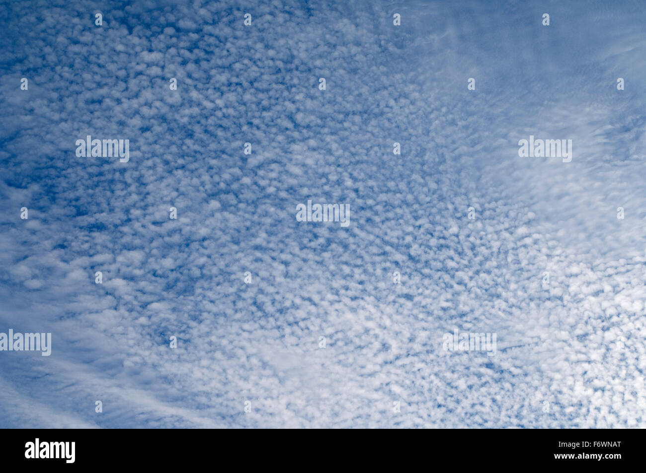 Schaefchenwolken, Cirrocumulus, undulatus Stockfoto
