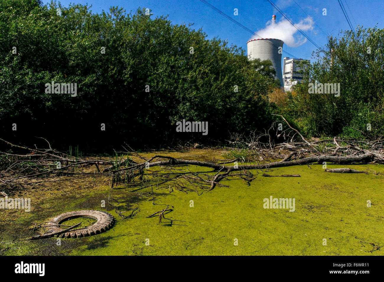 Kohlekraftwerk, Melnik, Mittelböhmen, Tschechische Republik Umwelt Stockfoto