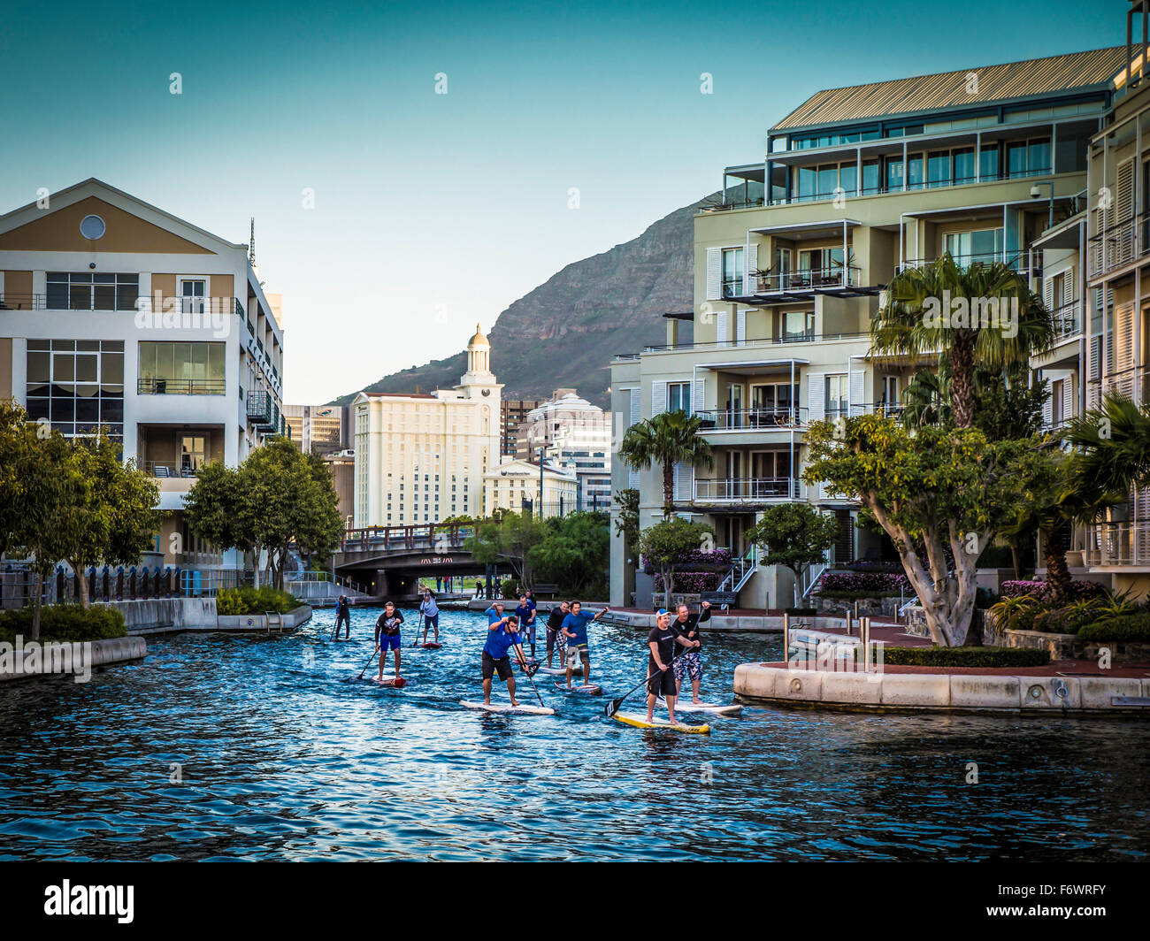 Standup Paddling, Victoria and Alfred Waterfront, Cape Town, Western Cape, Südafrika Stockfoto