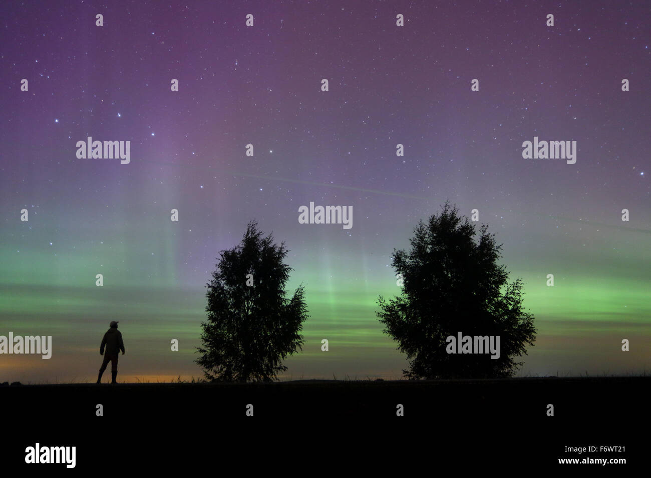 Mann beobachtet Nordlichter (Aurora Borealis) in Europa, Estland Stockfoto