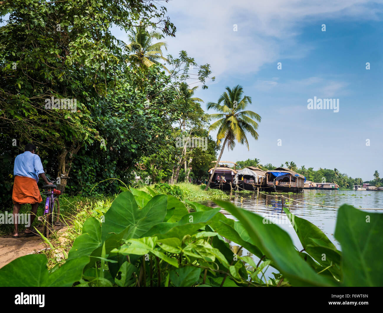 Hausboote auf den Backwaters, Kochi, Kerala, Indien Stockfoto