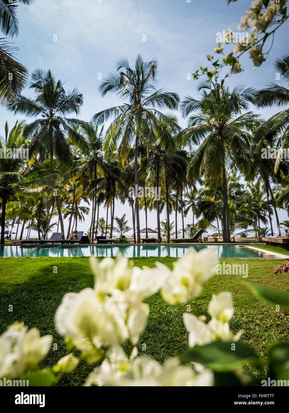 Hotel-Pool, Bekal, Kerala, Indien Stockfoto