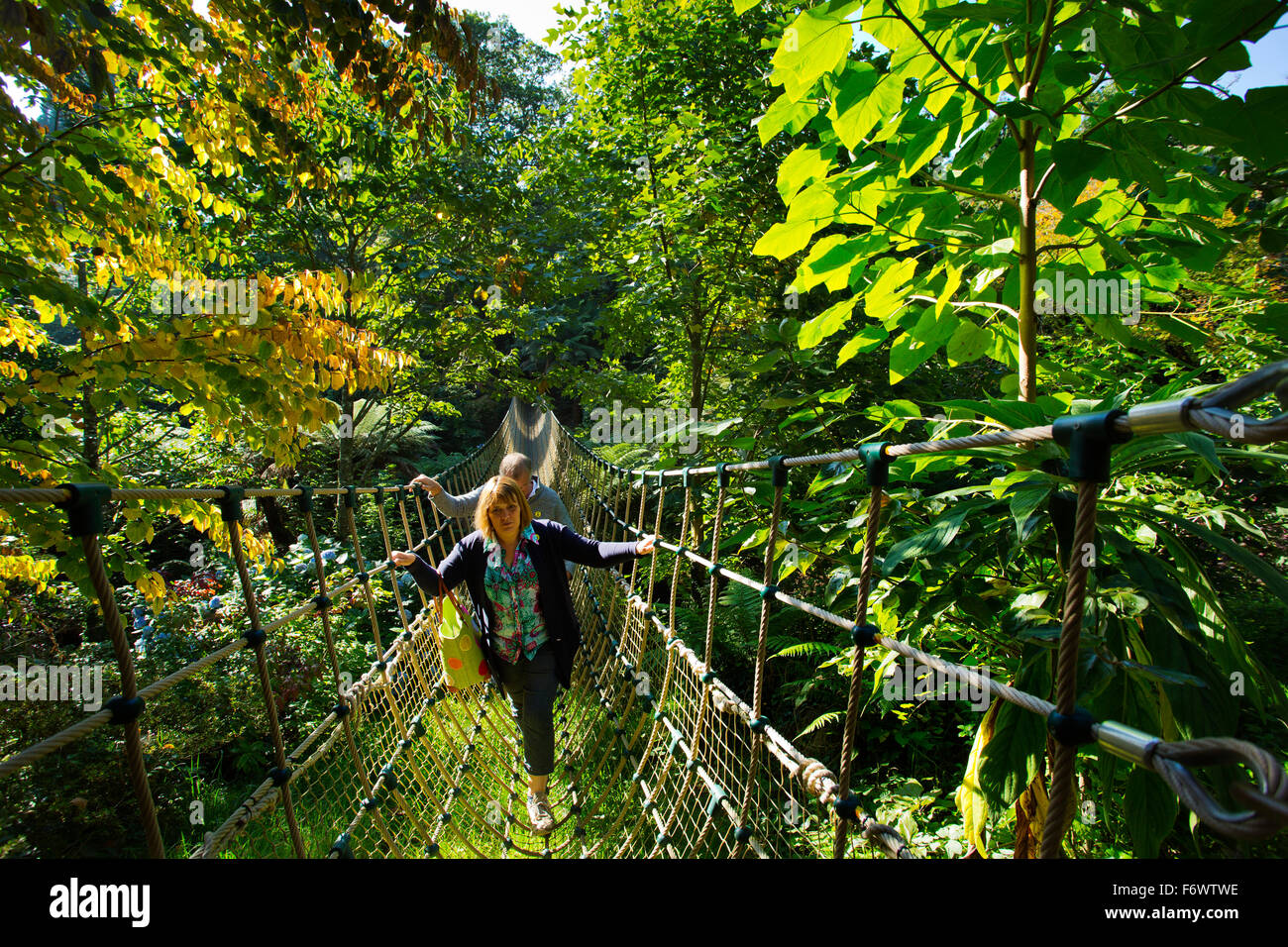 Eine Seilbrücke über eine Schlucht auf die verlorenen Gärten von Heligan in Cornwall, Großbritannien Stockfoto
