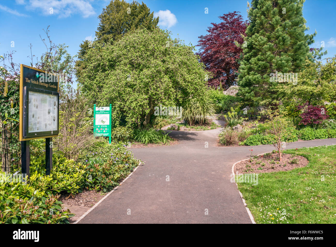 Rougemont Gärten, Exeter, Devon, Vereinigtes Königreich Großbritannien Stockfoto