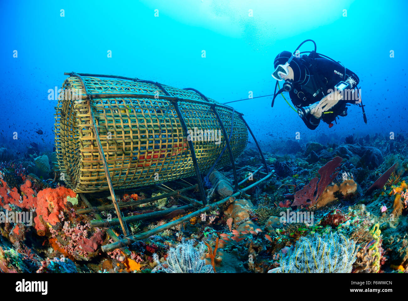 Fisch-Trap, Fischfalle typisch für Alor, Alor Archipel, Indischer Ozean, Indonesien, Sawu Meer, Pantarstrait Stockfoto