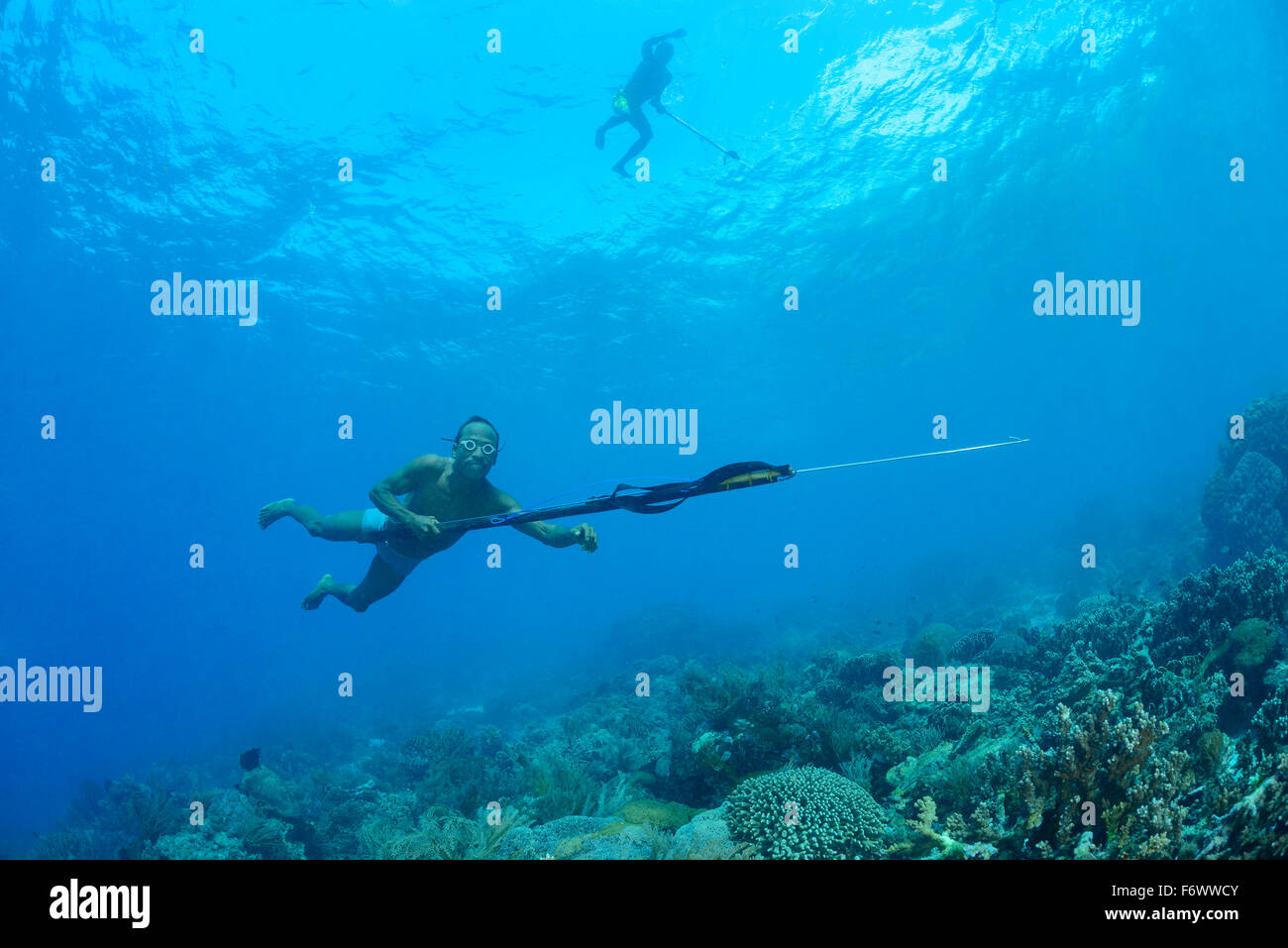 Lokalen antiallergene Tauchen unter Wasser, Alor Archipel, Indonesien, Sawu Meer, Pantarstrait, Indischer Ozean Stockfoto