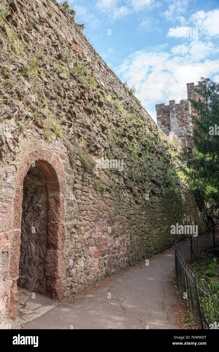 Burgmauern von Rougemount Castle, Exeter, Devon, England, Großbritannien Stockfoto