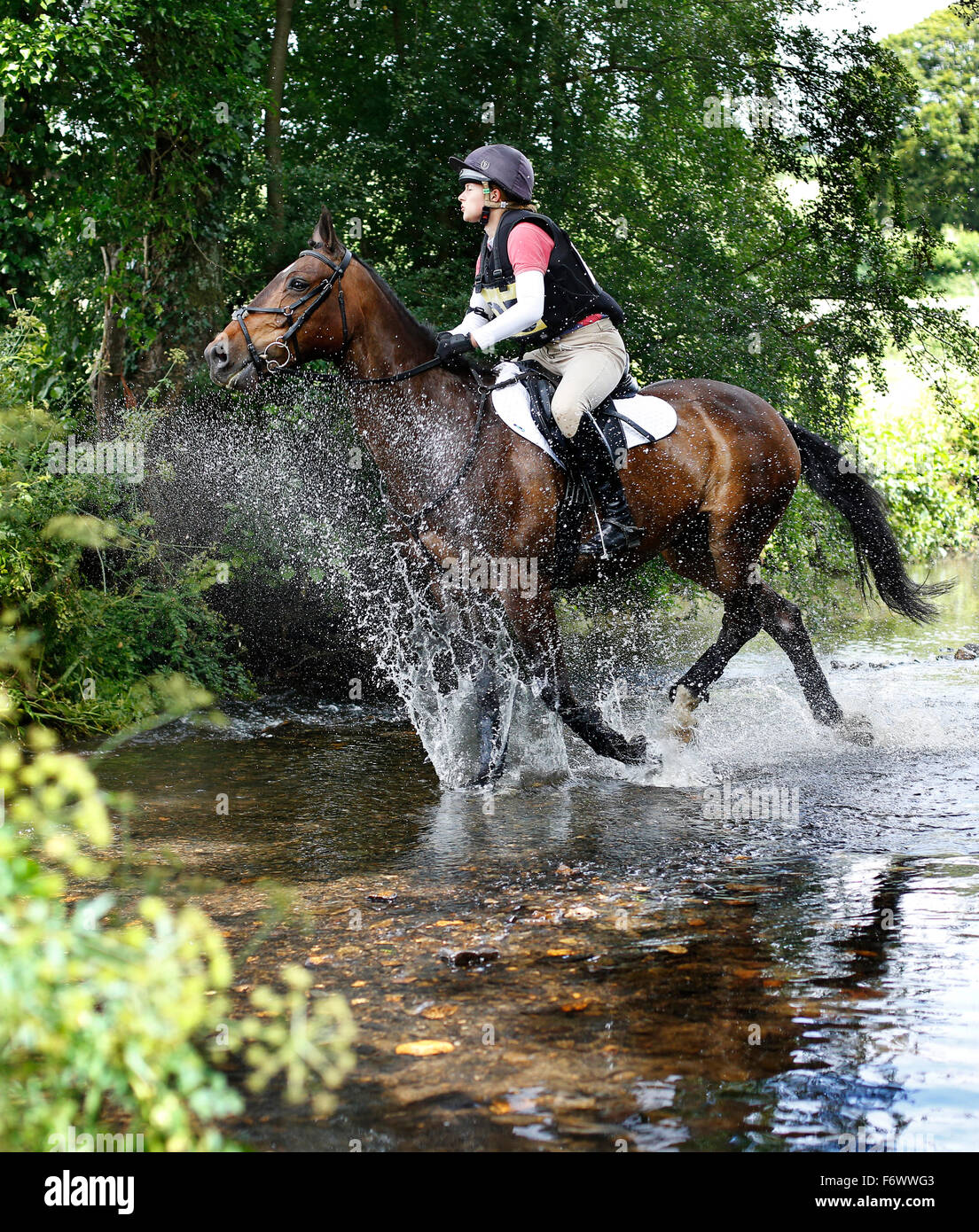 Reiten durch einen Fluss Stockfoto
