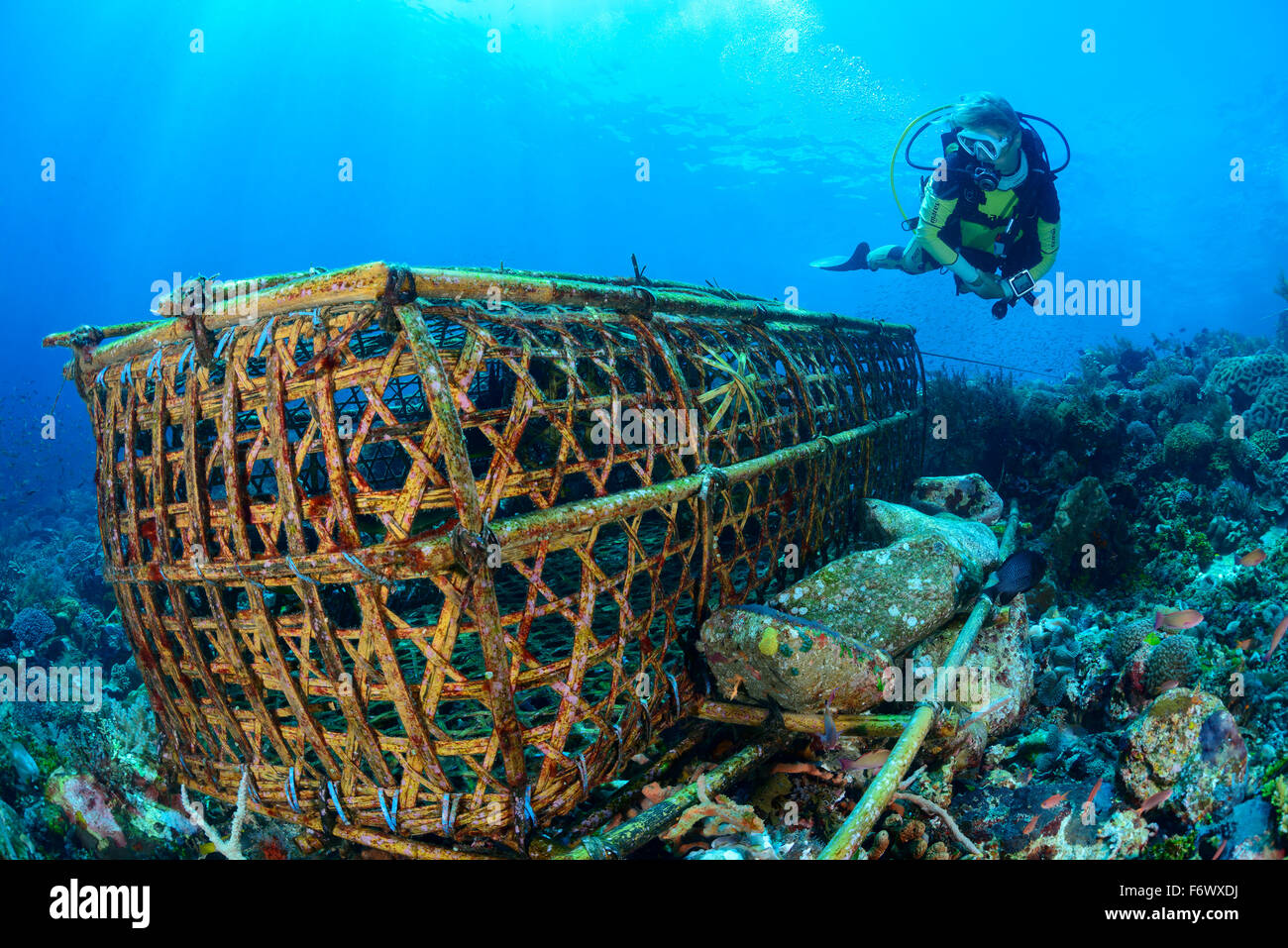 Typische Falle für Alor Archipel, Indonesien, Sawu Meer, Pantarstrait, indischen Ozean Fisch Stockfoto