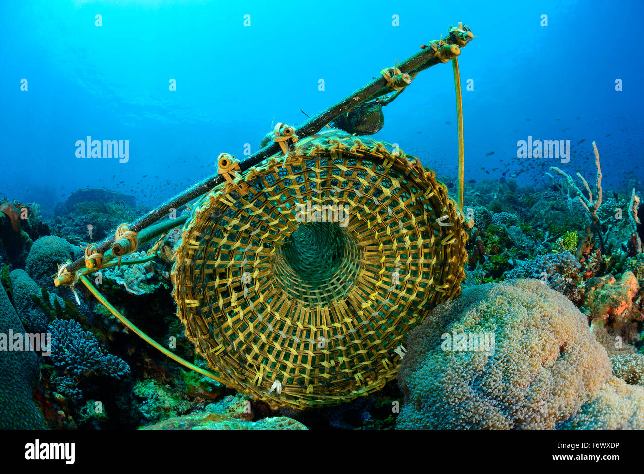 Trap, Fischfalle typisch für Alor Archipel, Indonesien, Sawu Meer, Pantarstrait, indischen Ozean Fisch Stockfoto