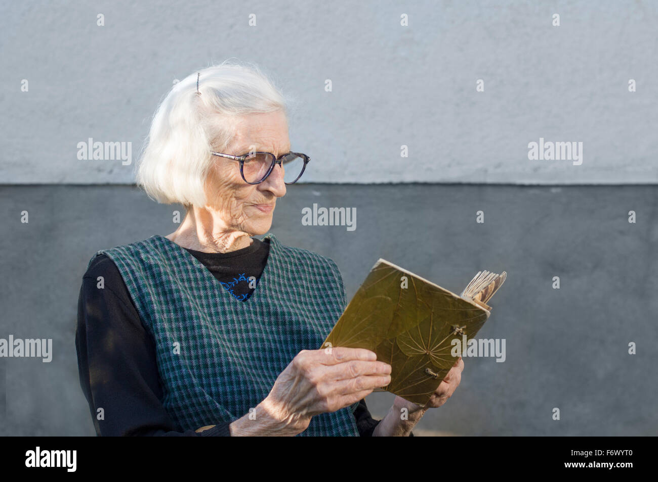 Oma Blick auf Familien-Fotoalbum im Hinterhof Stockfoto