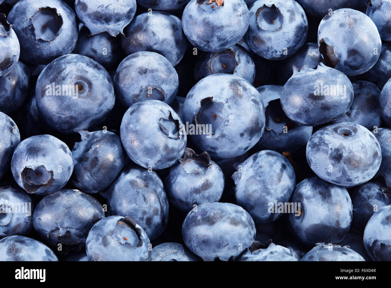 Heidelbeer-Hintergrund. Reif und saftig frisch gepflückten Heidelbeeren closeup Stockfoto