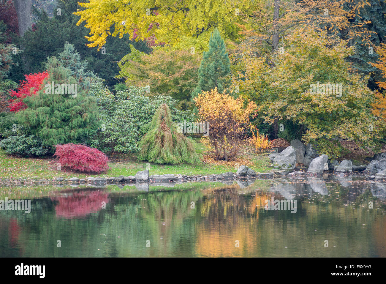 Bunter Herbst Bäume und ruhigen Wasser japanischer Garten Breslau im Herbst Stockfoto