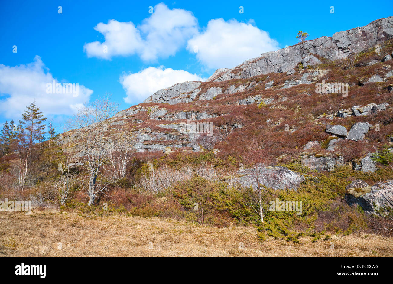 Norwegische Berglandschaft mit bewölktem Himmel und Pinien im Frühling Stockfoto