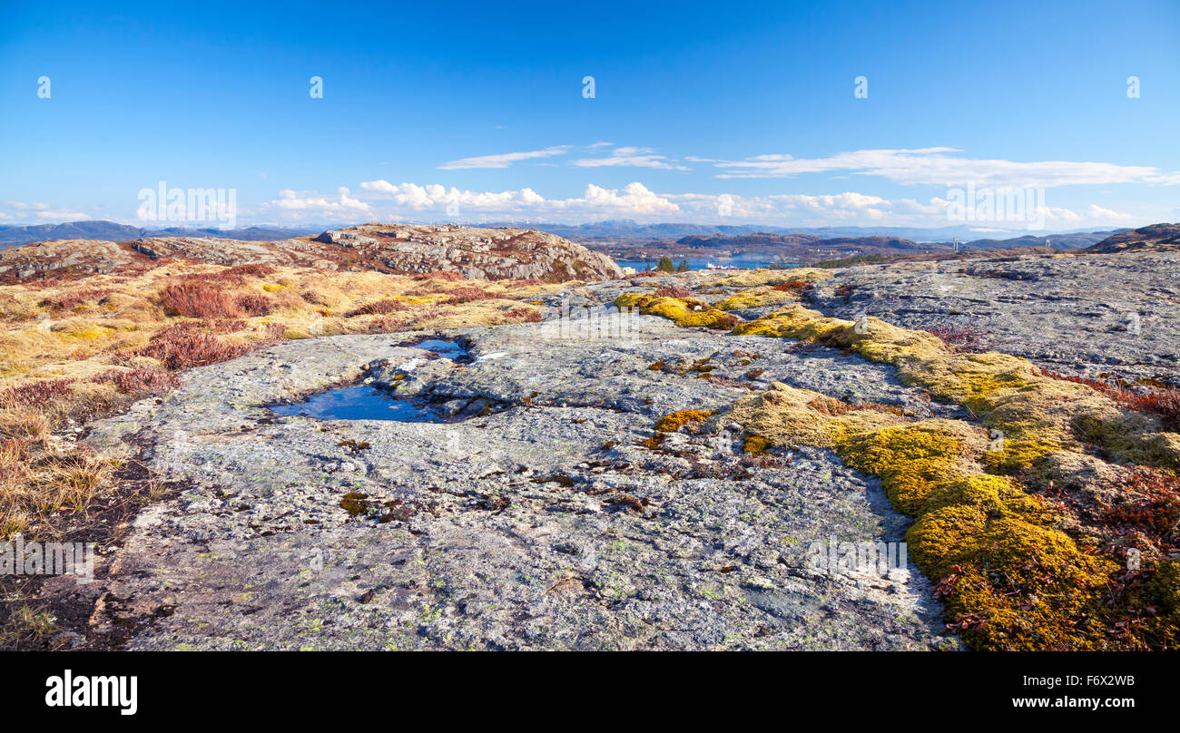 Norwegische Gebirge, Landschaft mit bunten Moos auf den Felsen Stockfoto