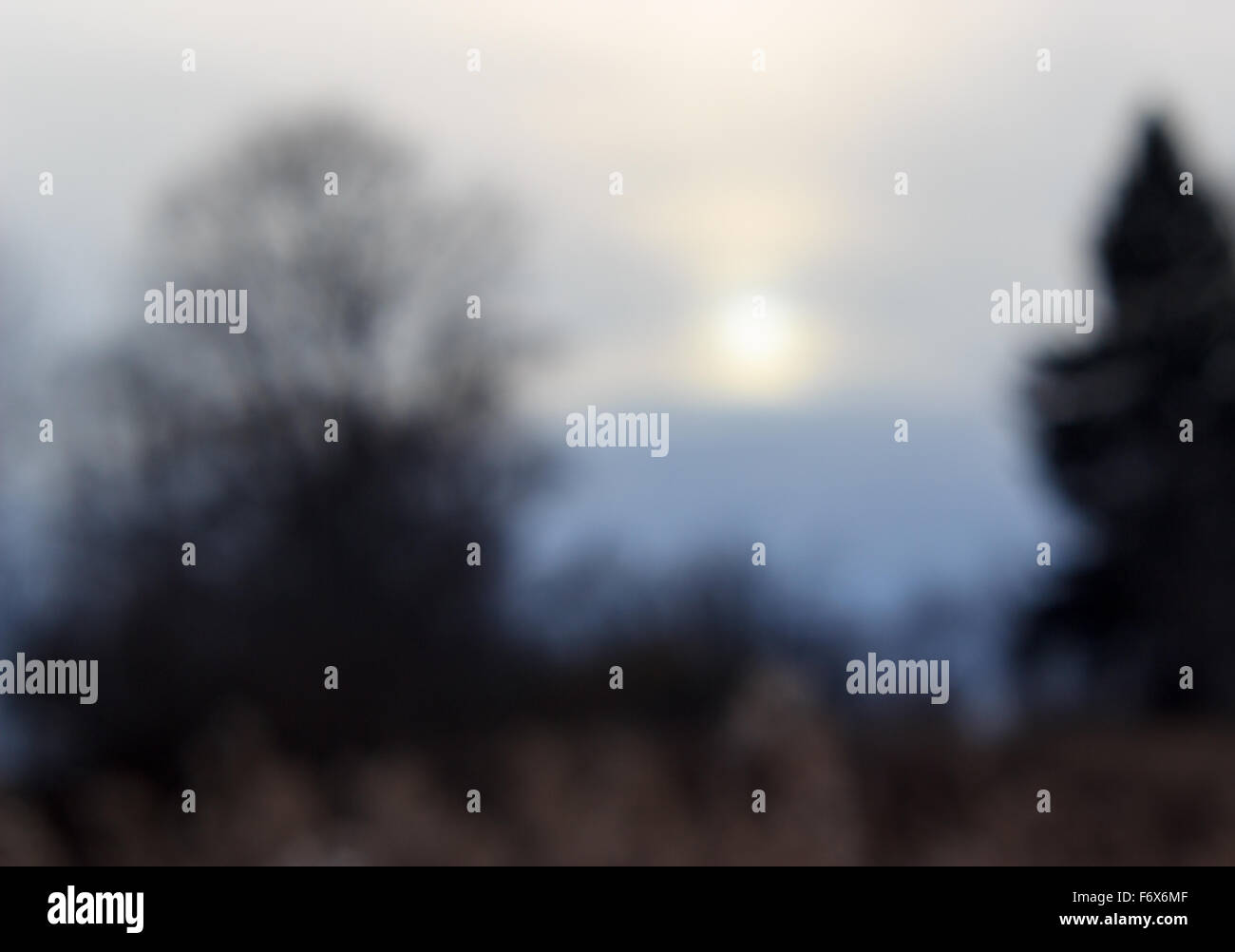 Defokussierten Hintergrund mit herbstlichen Sonnenuntergang in kalten Tönen. Stockfoto