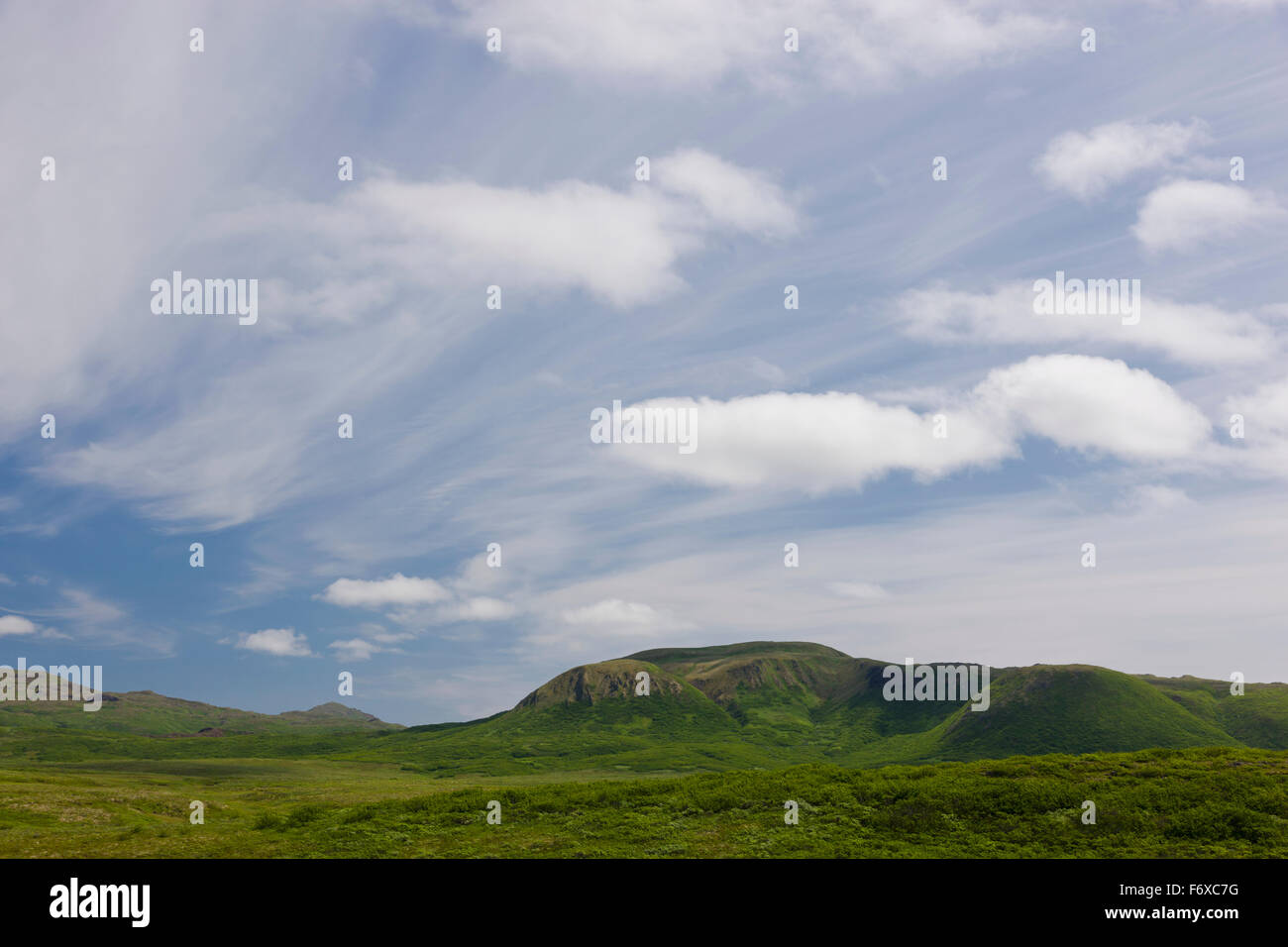 Grünen Pinsel bedeckt Hügel Popof Insel, teils bewölktem Himmel im Hintergrund, Sand Point, südwestlichen Alaska, USA, Sommer Stockfoto