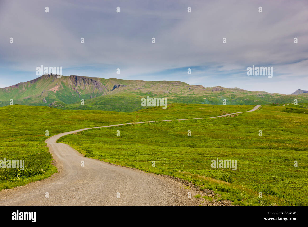 Eine unbefestigte Straße schlängelt sich durch grüne Tundra oben eine Hang, Sand Point, Popof Island, südwestlichen Alaska, USA, Sommer Stockfoto