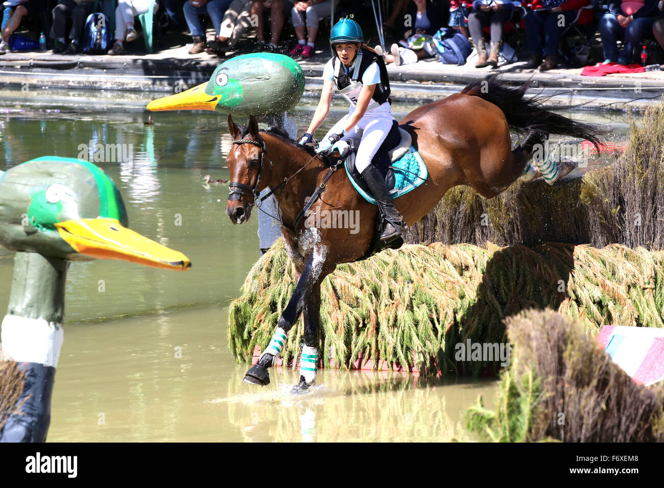 Alice Dunsdon aus Großbritannien Reiten Fernhill Gegenwart löscht einen Sprung im Bereich International drei Tage Veranstaltung Cross Country in Adelaide Australien. Stockfoto