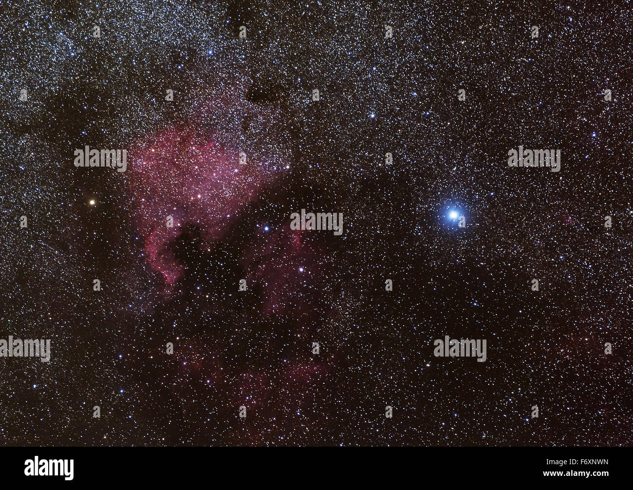 Der Nordamerika-Nebel im Bereich Cygnus neben der Stern Deneb Stockfoto