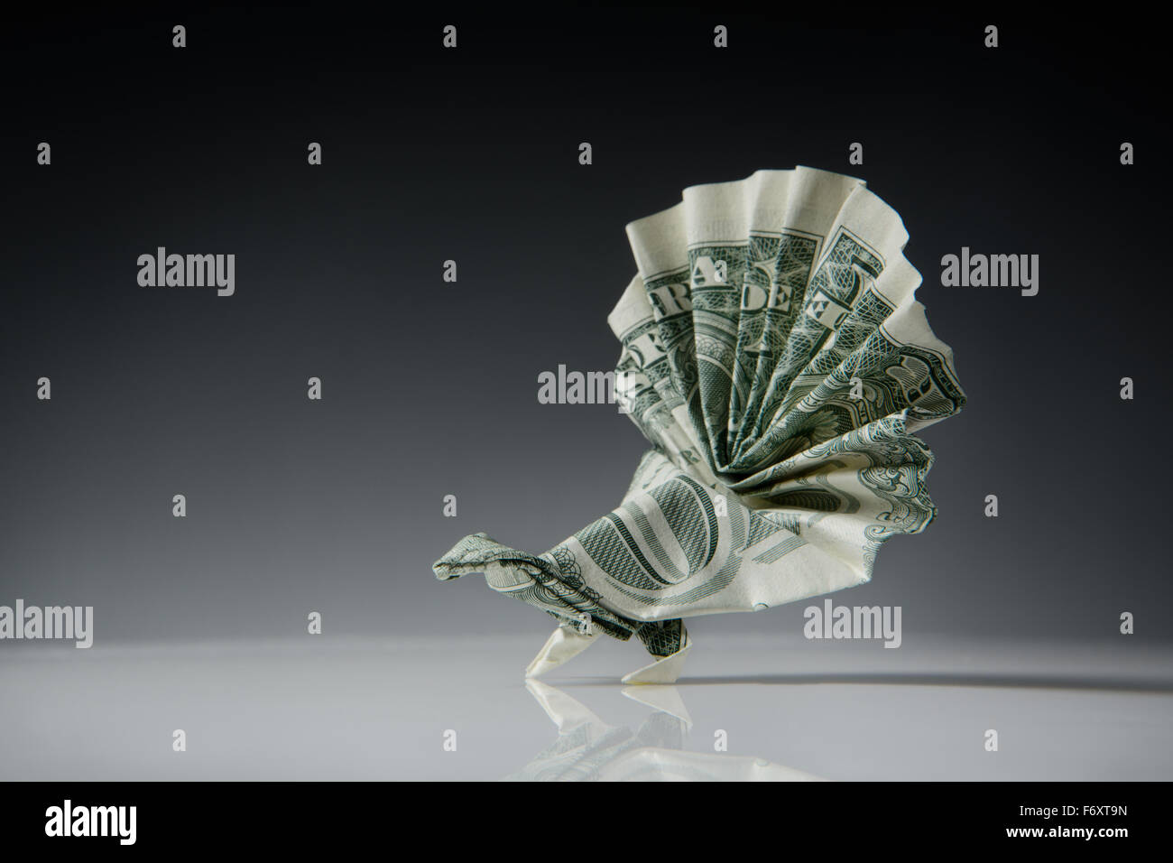 Stillleben-Bild von einem Origami-Pfauen machen von einem US-Dollar-note Stockfoto