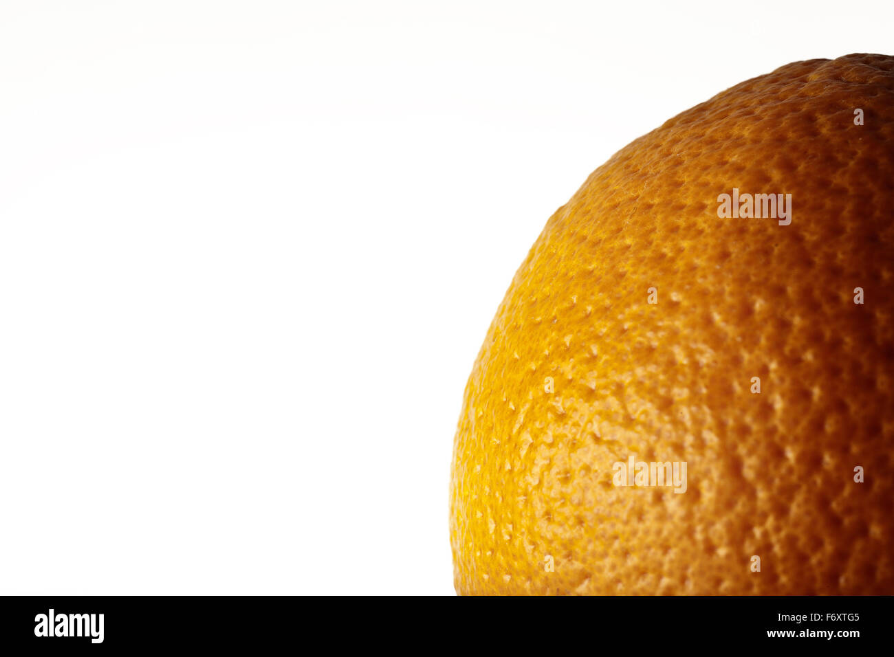 Nahaufnahme Detail Schuss von einem einzigen Orange erschossen im studio Stockfoto