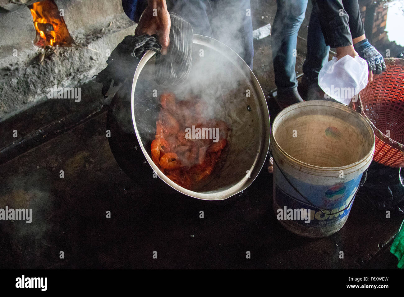 KEP Crab Market Kambodscha frische Krabben berühmt Stockfoto
