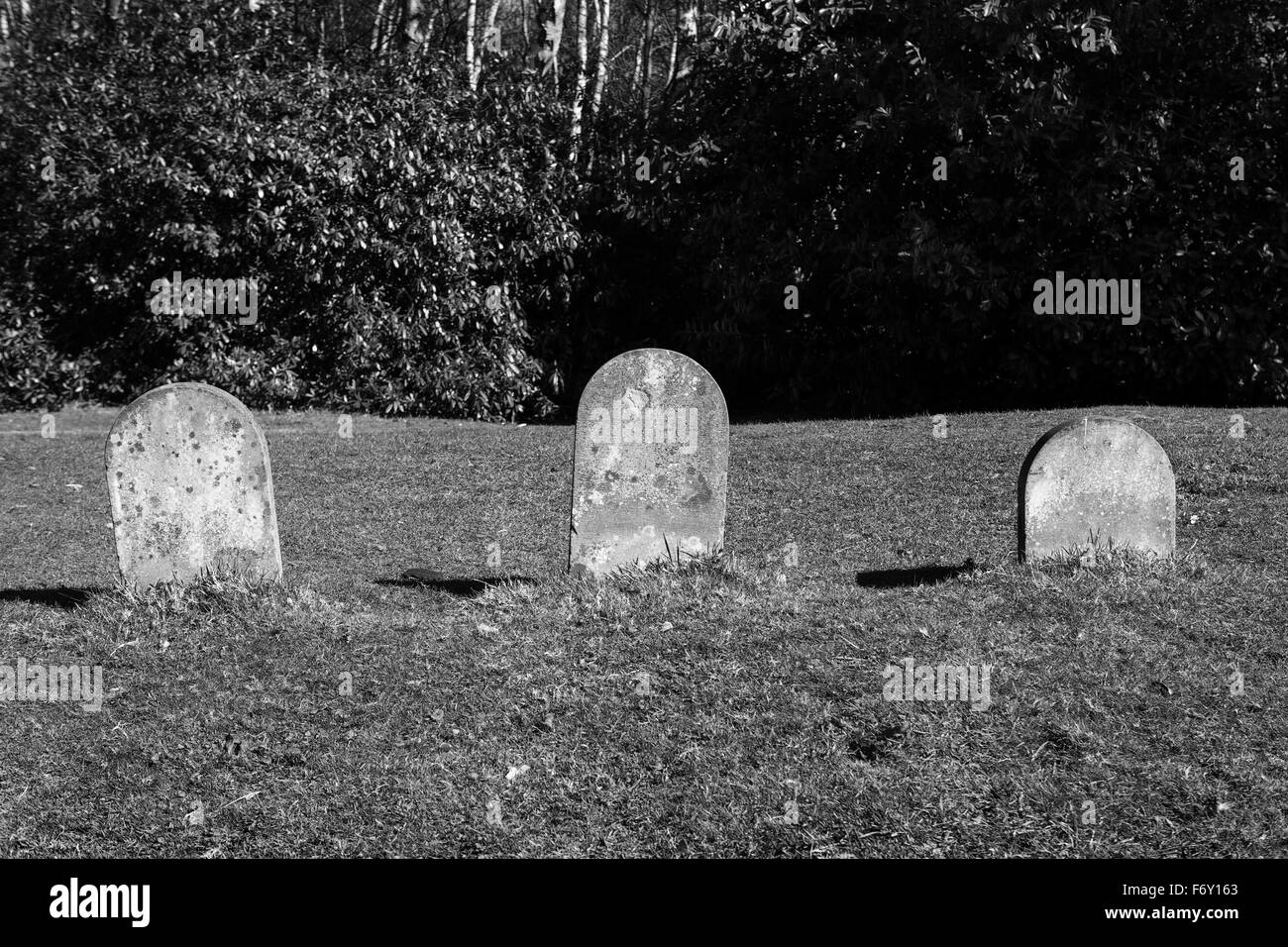 Drei kleine leere Grabsteine in einer Linie Stockfoto