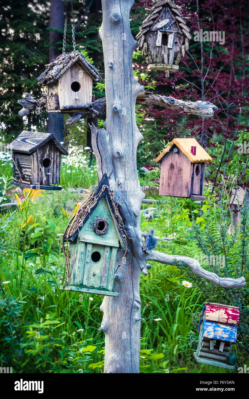 Eine Auswahl an verschiedenen Vogelhäuschen hängen von einem Baum in einem Garten. Stockfoto